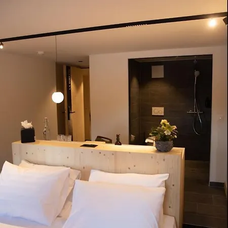 Miroir D'argentine Hotel Gryon