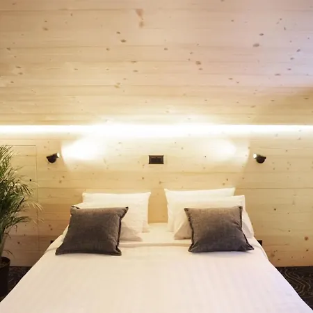 Miroir D'argentine Hotel Gryon