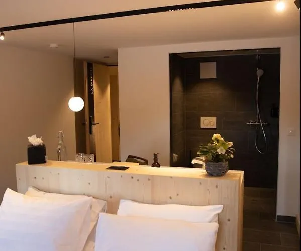 Miroir D'argentine Hotel Gryon