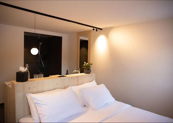 Hotel Miroir D'argentine *