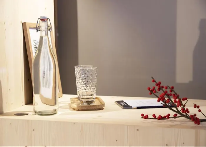 Hotel Miroir D'argentine *